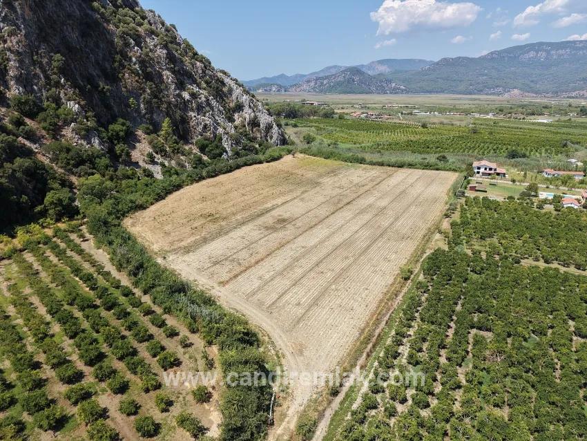 Feld Zu verkaufen in Dalyan Bz. Ortaca - Feld-Zonierung - 20.786 m²