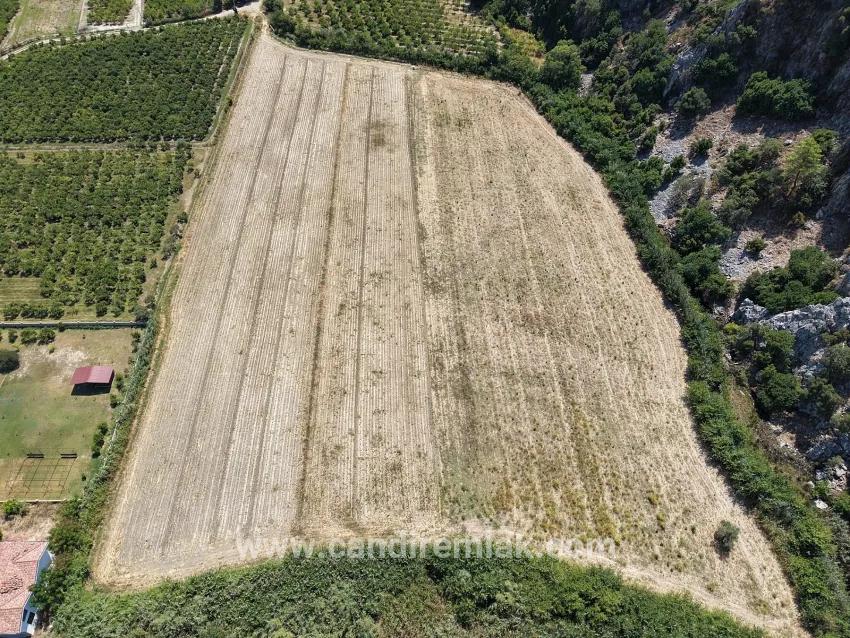 Feld Zu verkaufen in Dalyan Bz. Ortaca - Feld-Zonierung - 20.786 m²
