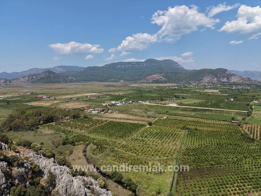 Feld Zu verkaufen in Dalyan Bz. Ortaca - Feld-Zonierung - 20.786 m²