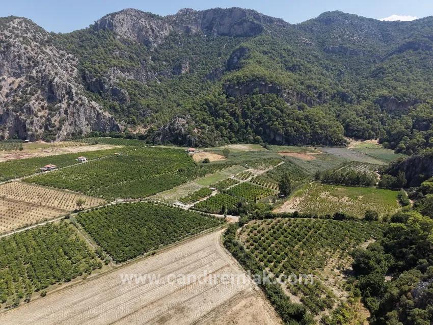 Feld Zu verkaufen in Dalyan Bz. Ortaca - Feld-Zonierung - 20.786 m²