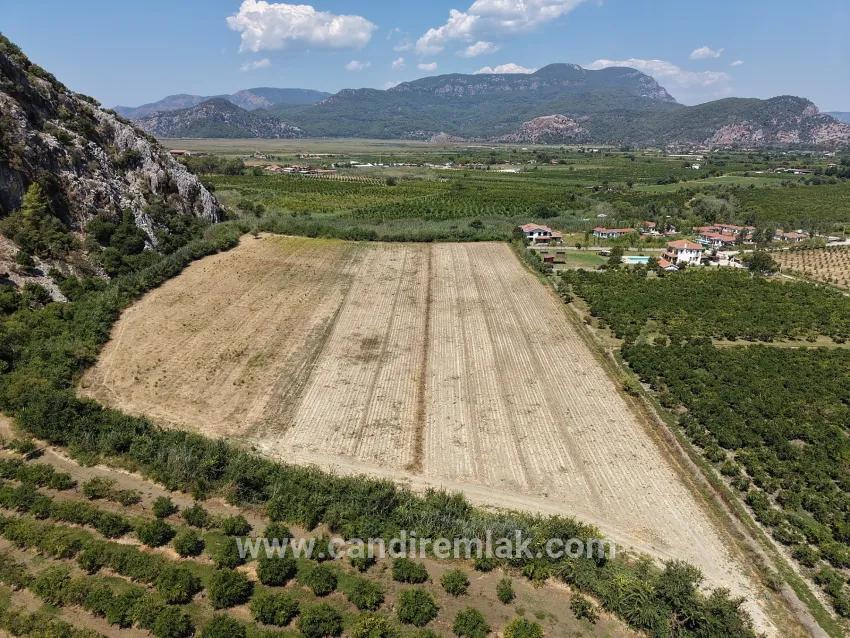Feld Zu verkaufen in Dalyan Bz. Ortaca - Feld-Zonierung - 20.786 m²