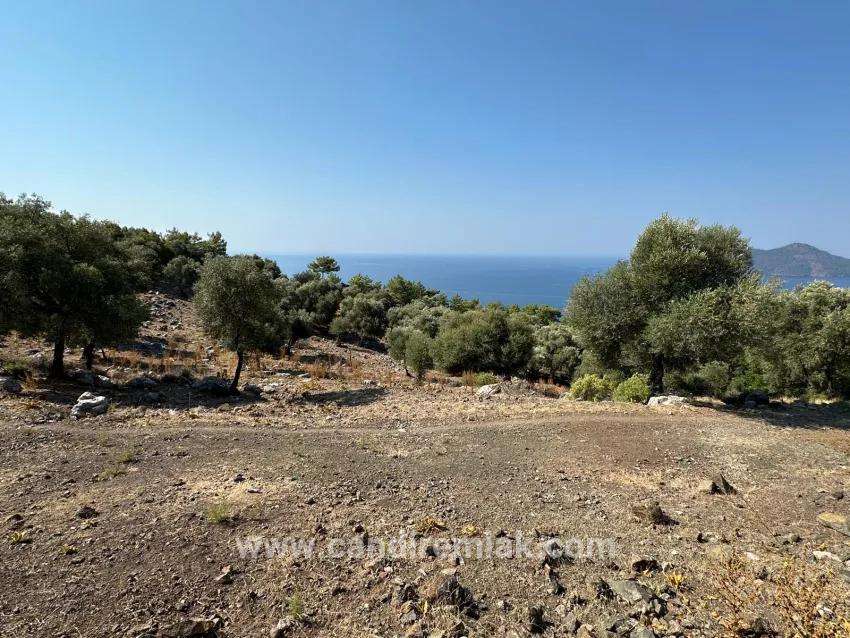 Feld Zu verkaufen in Çandır Bz. Köyceğiz - Feld-Zonierung - 21.000 m²