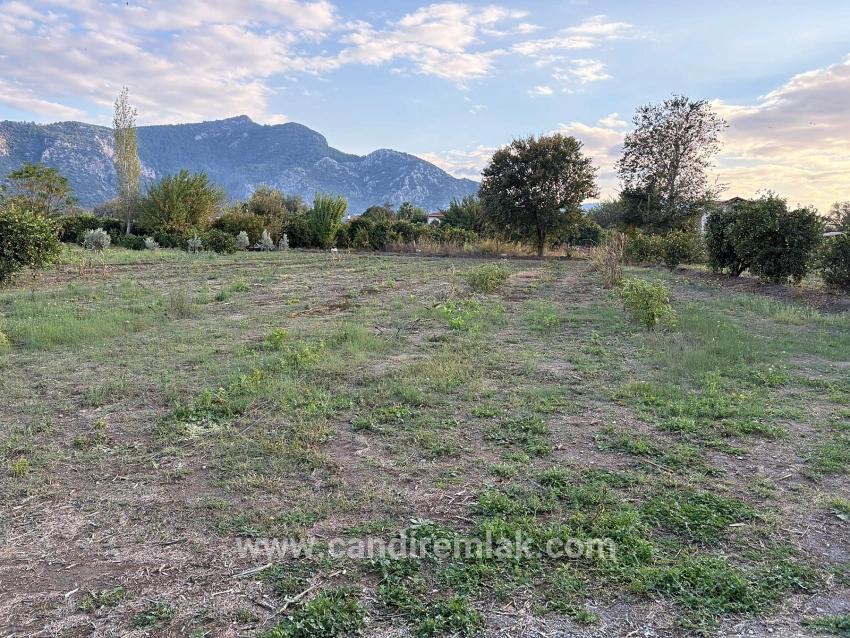 7.450 M² Großes Grundstück In Dalyan Mit 5%iger Zonierung Zu Verkaufen.