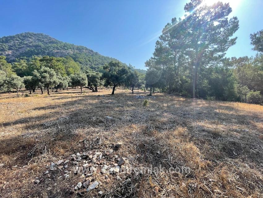 Schnäppchengrundstück Zum Verkauf Mit Meerblick In Der Gegend Von Ekincik-çandır.