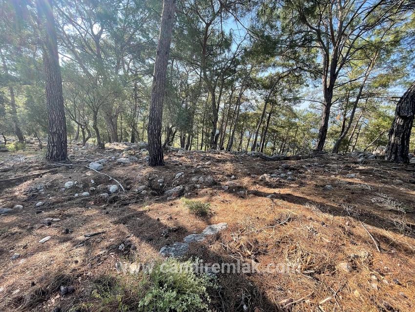 Schnäppchengrundstück Zum Verkauf Mit Meerblick In Der Gegend Von Ekincik-çandır.