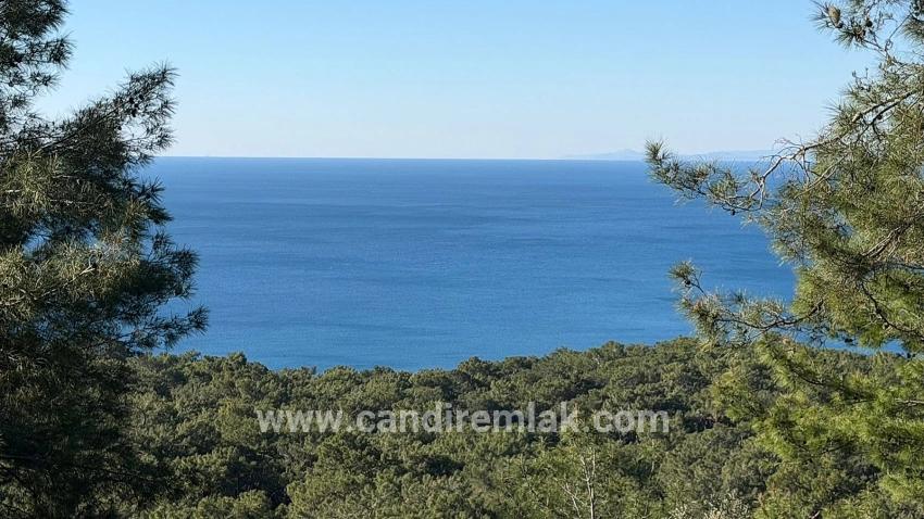 2b-feld Von 5715 M2 Zum Verkauf Mit Vollem Meerblick In Çandır