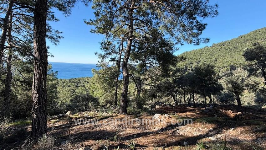2b-feld Von 5715 M2 Zum Verkauf Mit Vollem Meerblick In Çandır