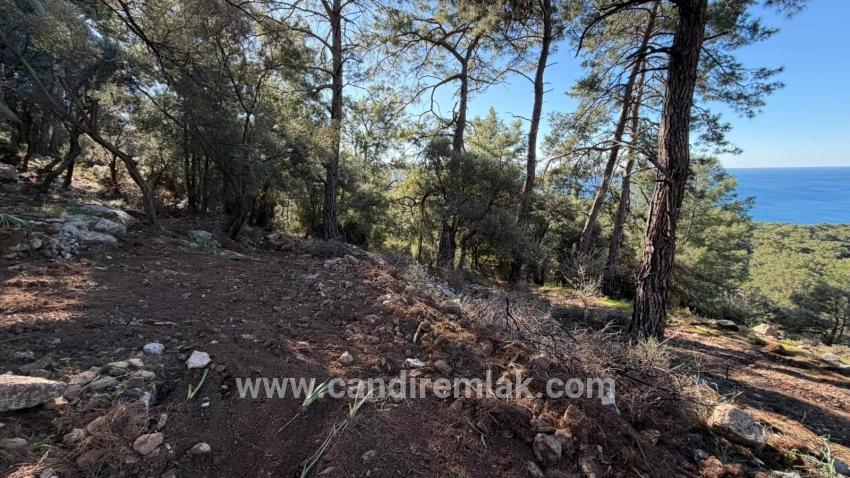 Feld Zu verkaufen in Çandır Bz. Köyceğiz - Gehäuse-Zonierung - 5.715 m²