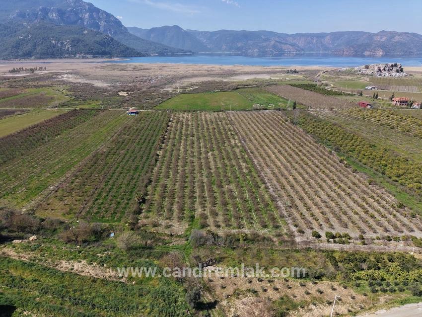 Feld Zu verkaufen in Eskiköy Bz. Ortaca - Feld-Zonierung - 16.710 m²