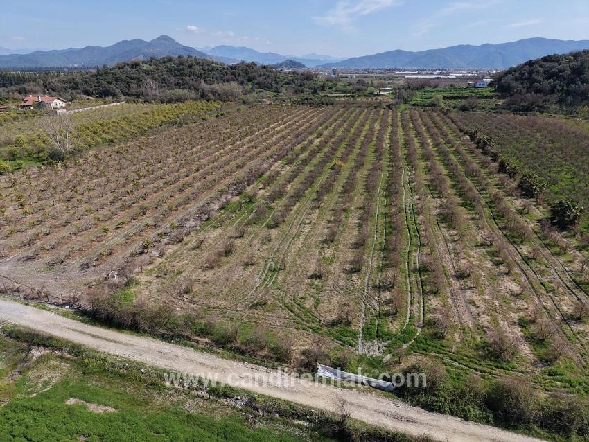 16.710 M² Granatapfelgarten Zum Verkauf Mit Seeblick In Eskiköy