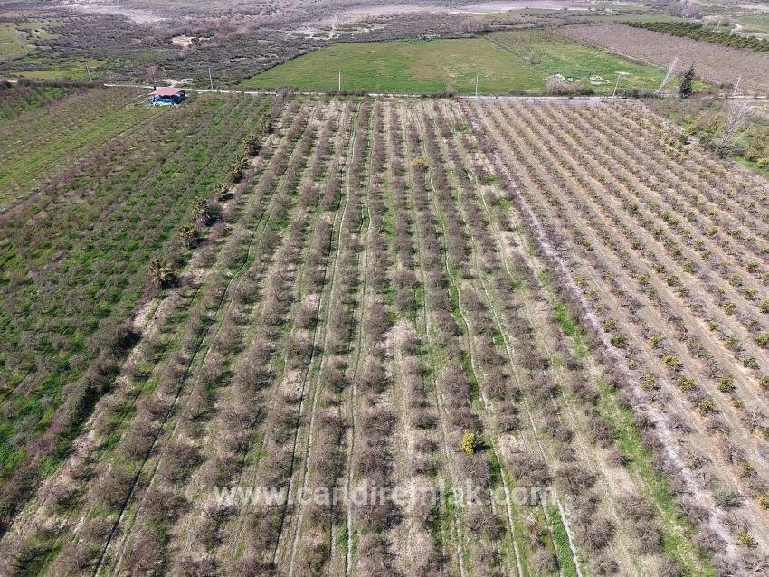 16.710 M² Granatapfelgarten Zum Verkauf Mit Seeblick In Eskiköy