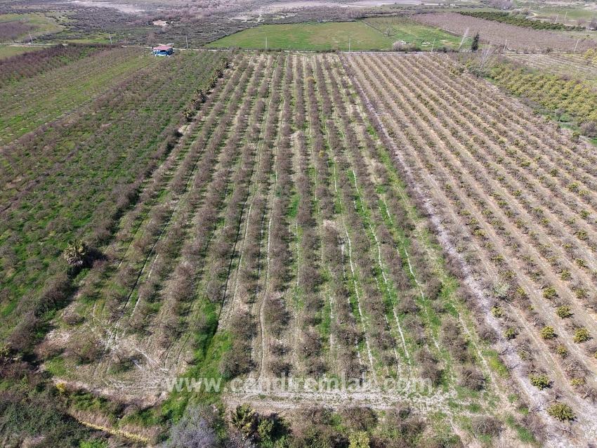 16.710 M² Granatapfelgarten Zum Verkauf Mit Seeblick In Eskiköy