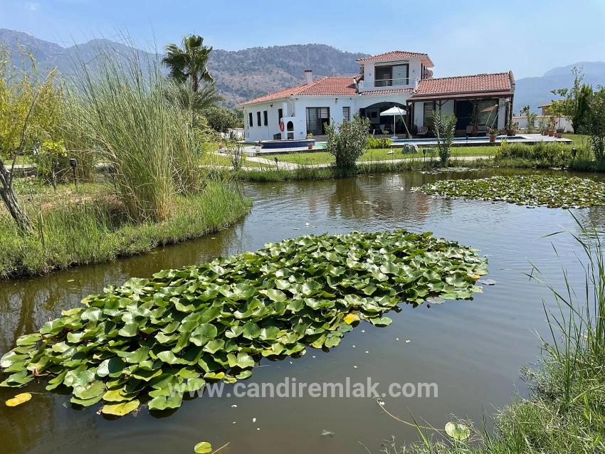 Luxuriöse 4+1-zimmer-villa Auf Einem 7000 M² Großen Grundstück Mit Blick Auf Den Strand Von Dalyan Iztuzu Zu Verkaufen
