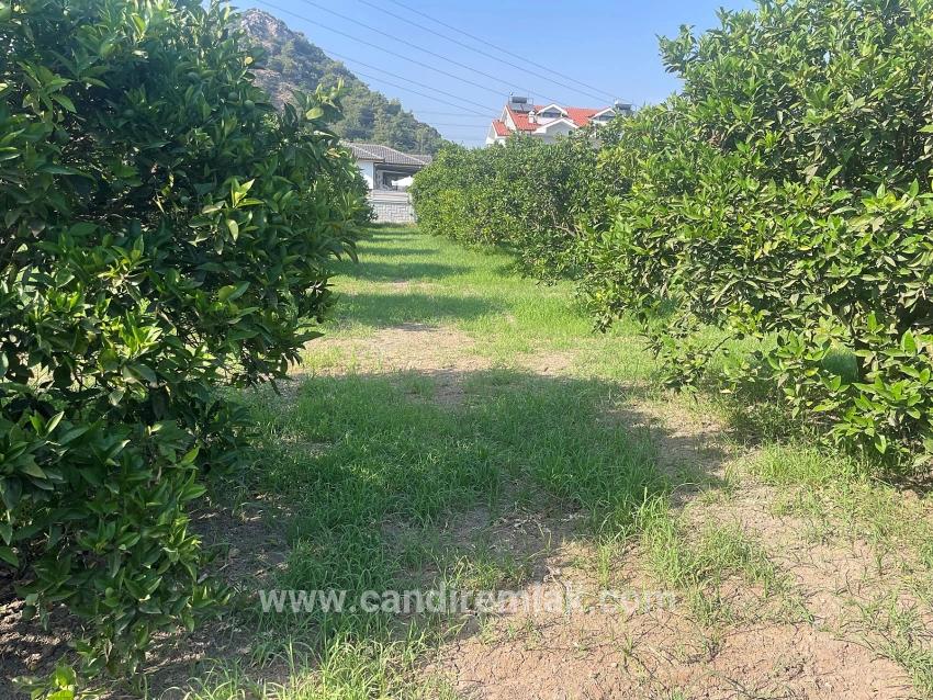 722m2 Grundstück Zum Verkauf In Dalyan Gülpınar