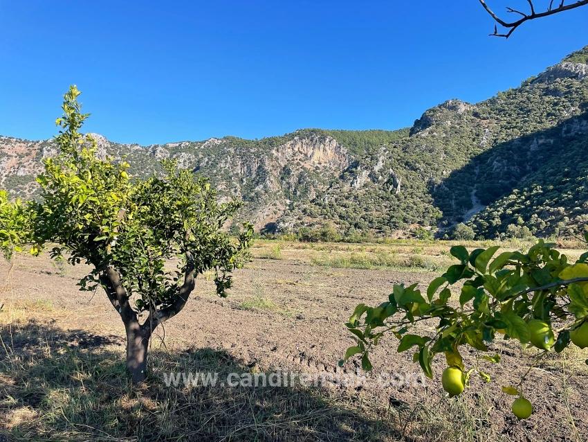6600 M² Großes Grundstück In Der Nähe Des Zentrums Von Dalyan Zu Verkaufen.