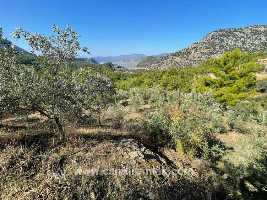 3514 M² Grundstück Zum Verkauf Mit Vollem Meerblick In Gökbel