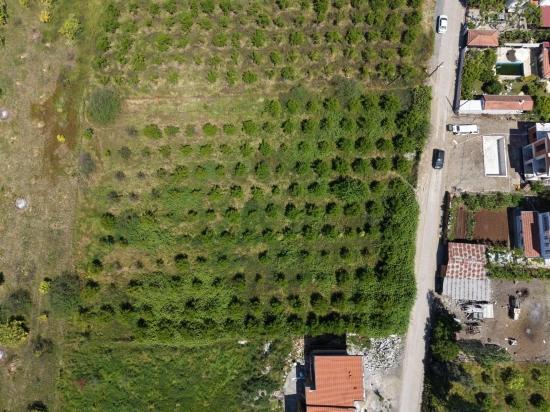 Grundstück Zum Verkauf In Okçular, 1050 M², Im Wohngebiet Des Dorfes.