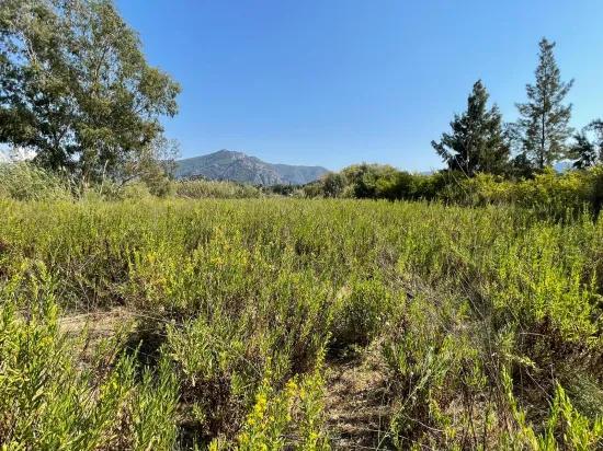 Freistehendes Haus (2765 M²) In Çandır, Direkt Am Kanal, Zu Verkaufen.