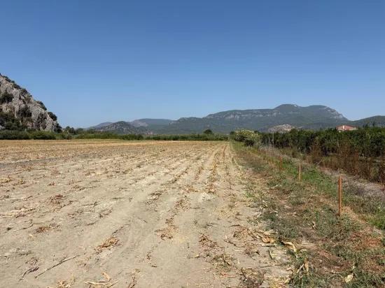 In Dalyan 20.786m2 Verkaufsfeld