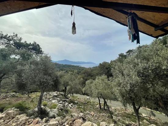 Köyceğiz Ekincik mit Meerblick 7.000m2 2b zu verkaufen Olivenhain