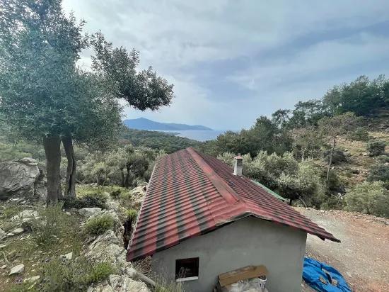 Köyceğiz Ekincik mit Meerblick 7.000m2 2b zu verkaufen Olivenhain