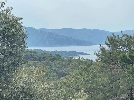 Köyceğiz Ekincik mit Meerblick 7.000m2 2b zu verkaufen Olivenhain