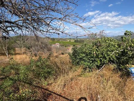 In Dalyan Karadağ Seeblick 5.000m2 zu verkaufen Acker