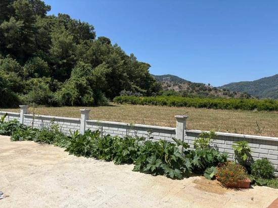 Freistehendes Holzhaus Mit 120 M² Wohnfläche Auf Einem 2500 M² Großen Grundstück In Der Gegend Von Dalyan Karadağ