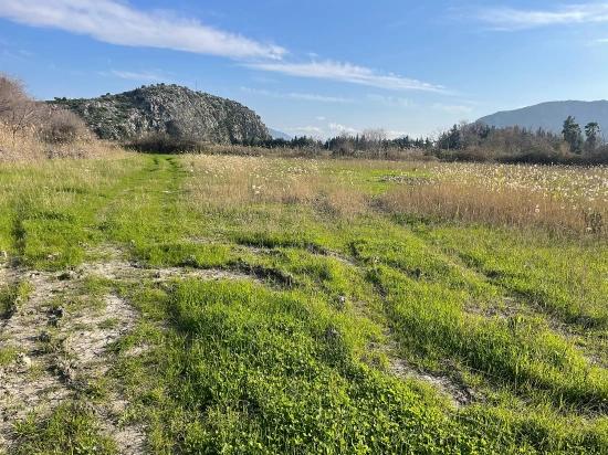 6800 M² Großes Grundstück In Dalyan Zu Verkaufen, 5% Wohnbebauungszone.