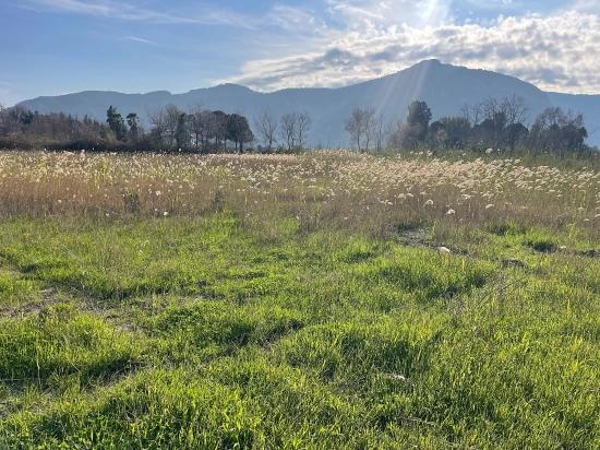 6800 M² Großes Grundstück In Dalyan Zu Verkaufen, 5% Wohnbebauungszone.