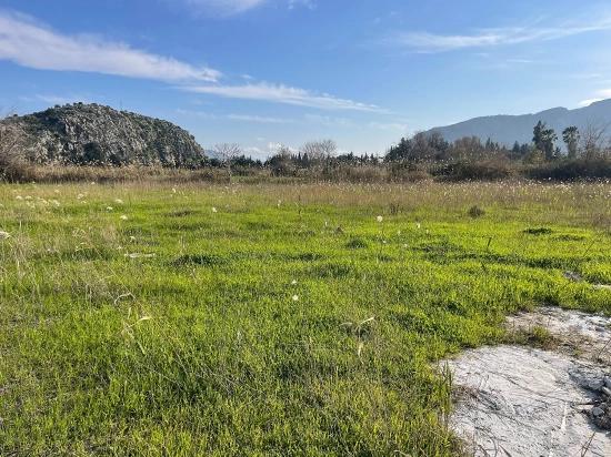 6800 M² Großes Grundstück In Dalyan Zu Verkaufen, 5% Wohnbebauungszone.
