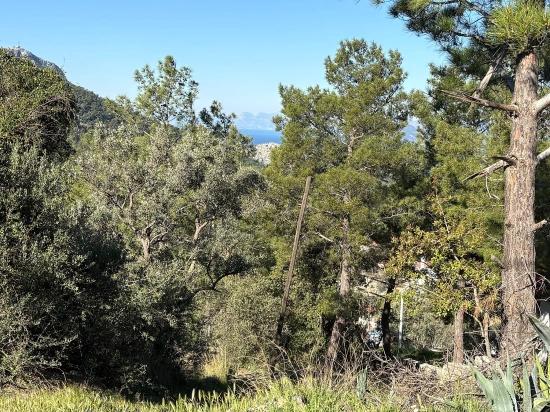 1000 M² Großes Grundstück Mit Meerblick Im Wohngebiet Gökbel Village Zu Verkaufen