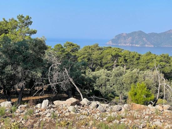 Schnäppchengrundstück Zum Verkauf Mit Meerblick In Der Gegend Von Ekincik-çandır.
