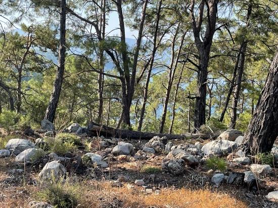 Schnäppchengrundstück Zum Verkauf Mit Meerblick In Der Gegend Von Ekincik-çandır.