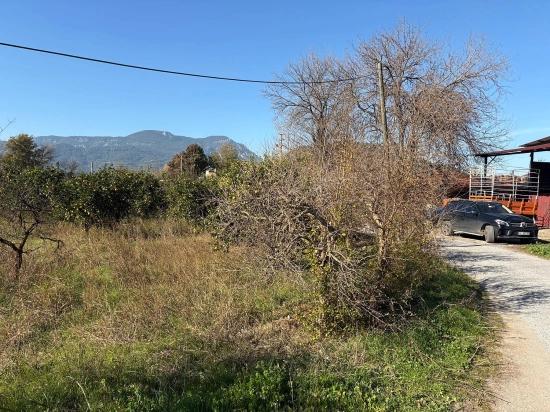 4.541 M² Großer Garten Zum Verkauf In Dalyan.
