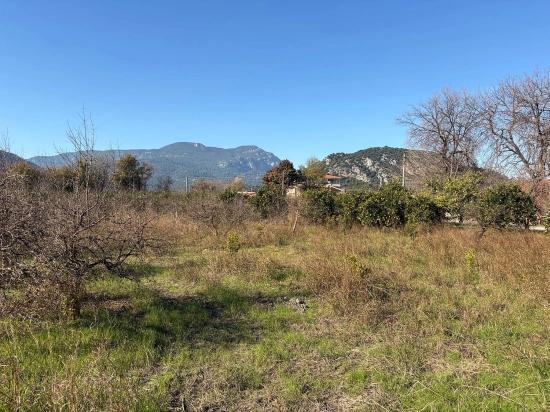 4.541 M² Großer Garten Zum Verkauf In Dalyan.