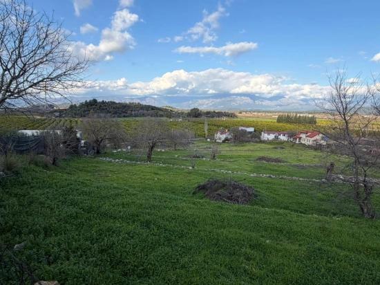 11.230 M² Großes Grundstück Mit Seeblick In Dalyan Zu Verkaufen.