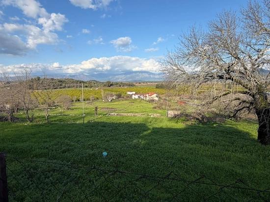 11.230 M² Großes Grundstück Mit Seeblick In Dalyan Zu Verkaufen.