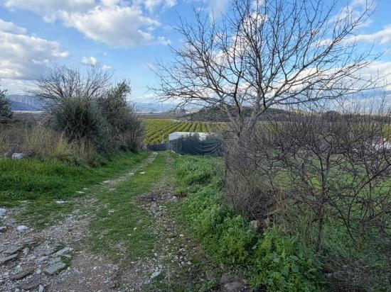 11.230 M² Großes Grundstück Mit Seeblick In Dalyan Zu Verkaufen.