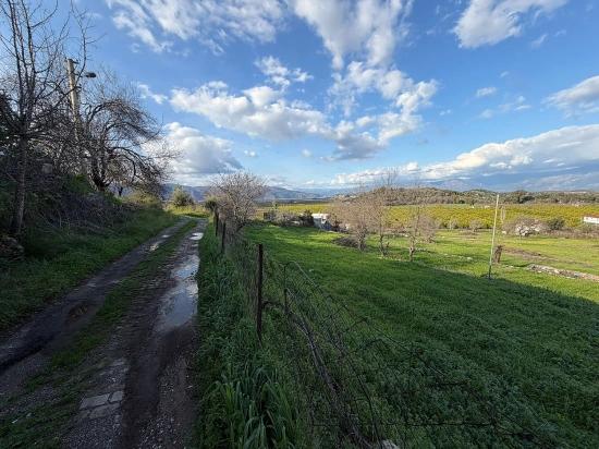 11.230 M² Großes Grundstück Mit Seeblick In Dalyan Zu Verkaufen.