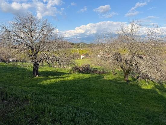 11.230 M² Großes Grundstück Mit Seeblick In Dalyan Zu Verkaufen.