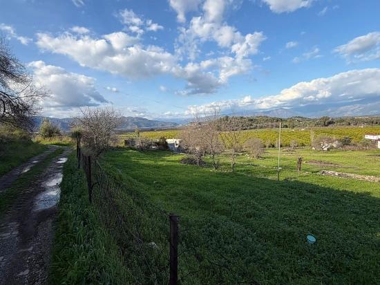 11.230 M² Großes Grundstück Mit Seeblick In Dalyan Zu Verkaufen.
