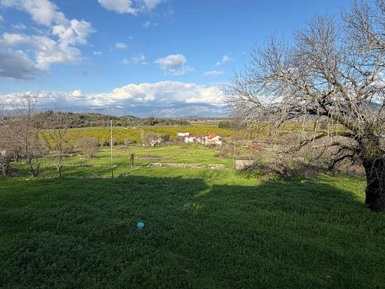 11.230 M² Großes Grundstück Mit Seeblick In Dalyan Zu Verkaufen.