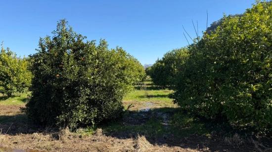 2.218m2 Grundstück Zum Verkauf In Okçular Marmarlı