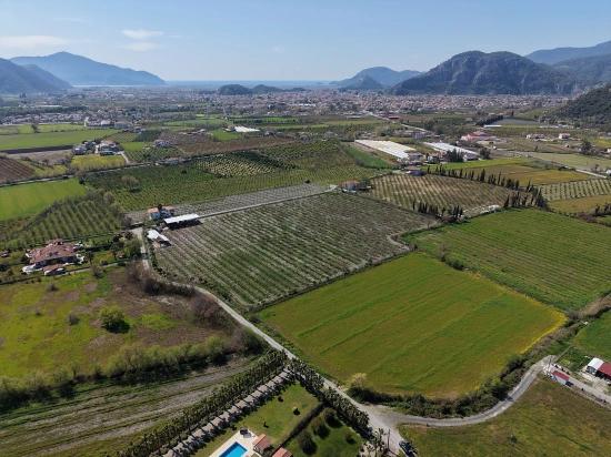 17.550 M2 Weinberg-bahce Zum Verkauf In Der Nähe Des Dalyan Centers