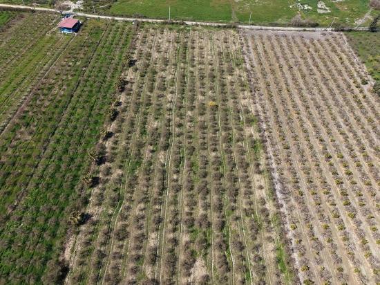 16.710 M² Granatapfelgarten Zum Verkauf Mit Seeblick In Eskiköy