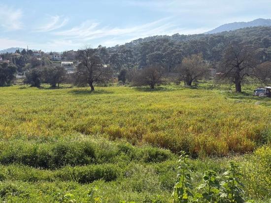2.023 M² Großes Grundstück In Çandır Village, Köyceğiz, Zu Verkaufen, Mit Miteigentum Und Freiwilliger Aufteilung.