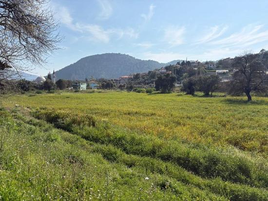 2.023 M² Großes Grundstück In Çandır Village, Köyceğiz, Zu Verkaufen, Mit Miteigentum Und Freiwilliger Aufteilung.