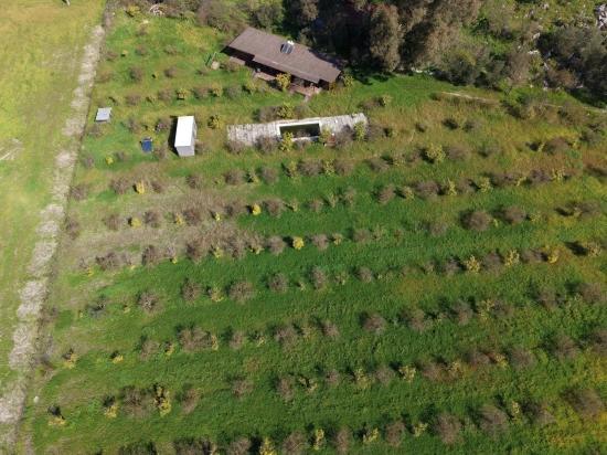 Tourismusorientiertes Unternehmen Auf Einem 11.000 M² Großen Grundstück In Eskiköy Zu Verkaufen.