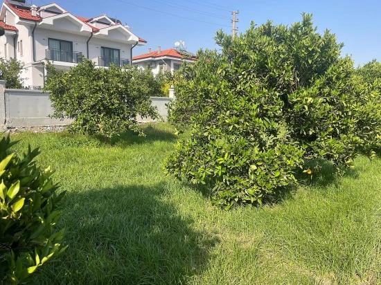 722m2 Grundstück Zum Verkauf In Dalyan Gülpınar